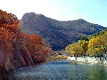 新澳天天开奖资料大全旅游团，梵林伽仙人鞭